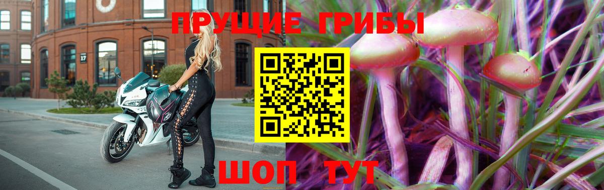 Галлюциногенные грибы GOLDEN TEACHER  Вход с VPN  Советская Гавань 