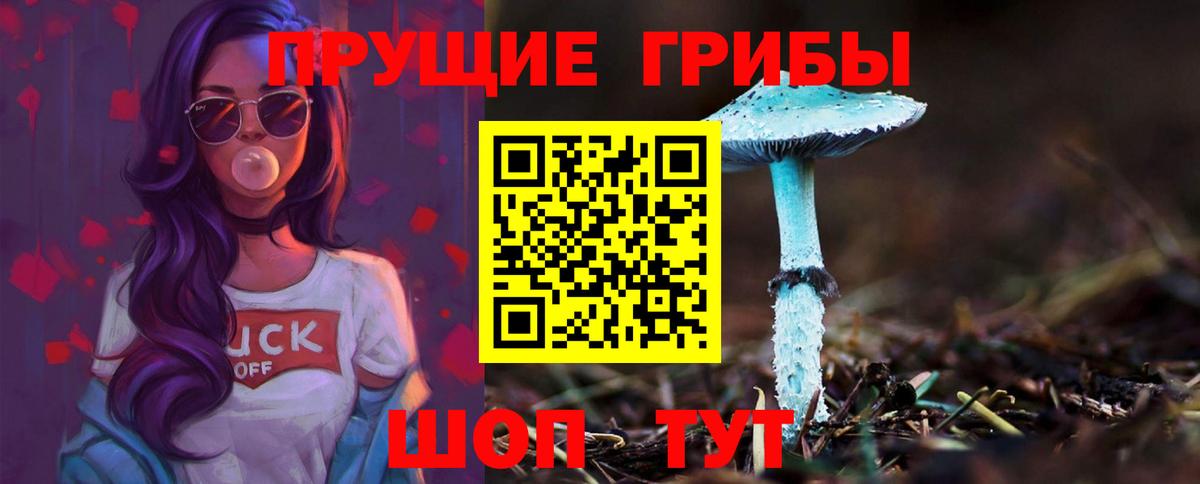 Галлюциногенные грибы Cubensis Советская Гавань